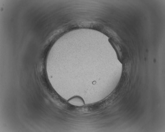 X0000081290687200702012245