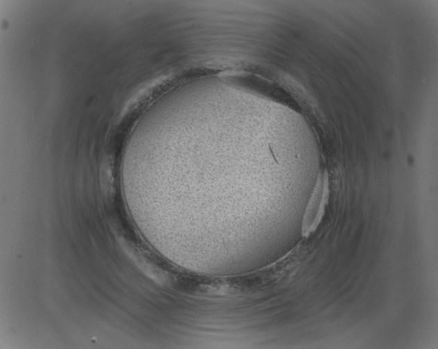 X0000081290688200702012245