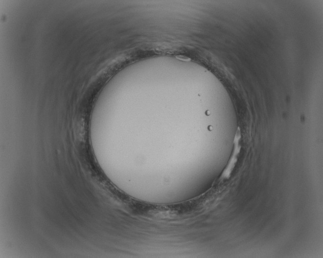 X0000081290689200702012245