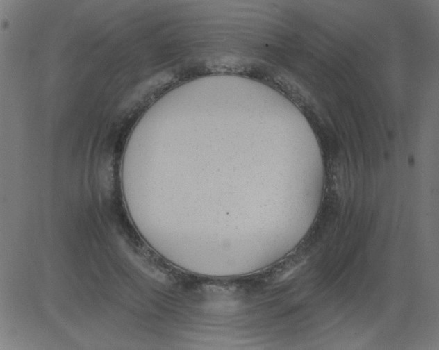 X0000081290690200702012245