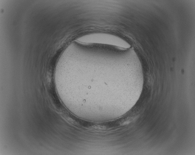 X0000081290691200702012244