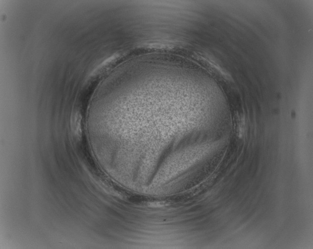 X0000081290692200702012244