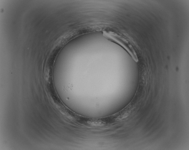 X0000081290693200702012244