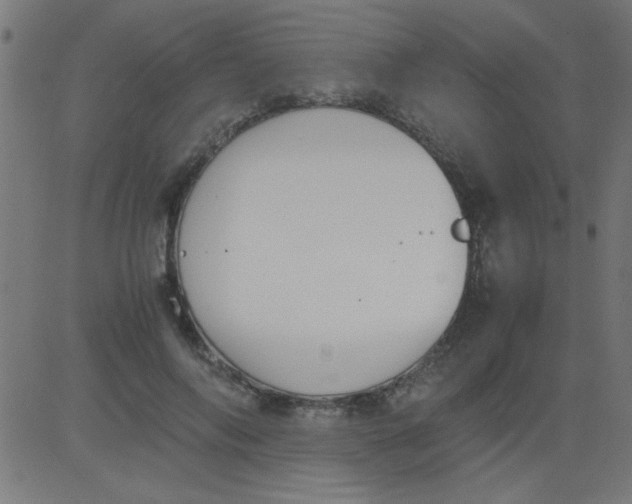 X0000081290694200702012244