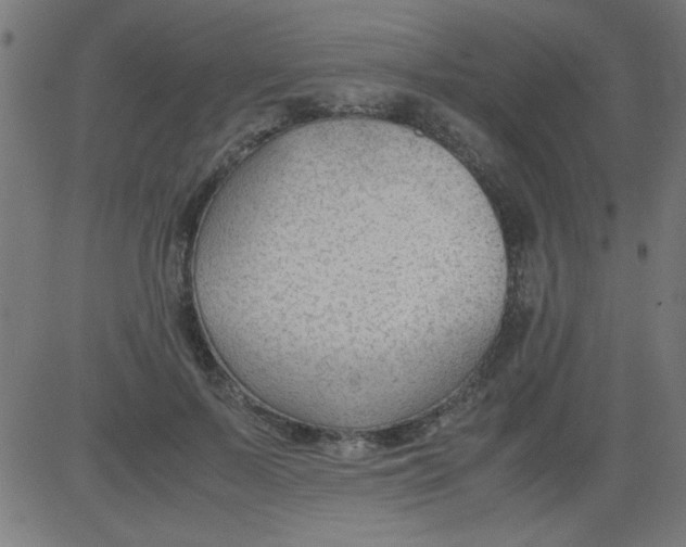 X0000081290695200702012244