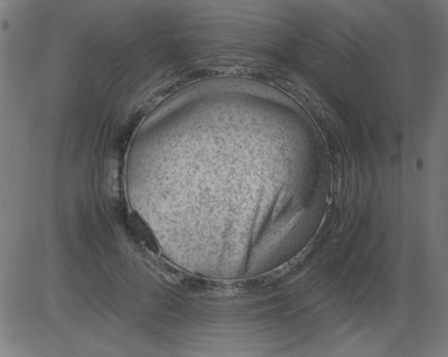 X0000081290696200702012244