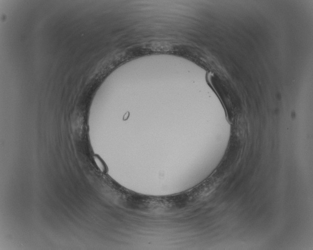 X0000081290697200702012244