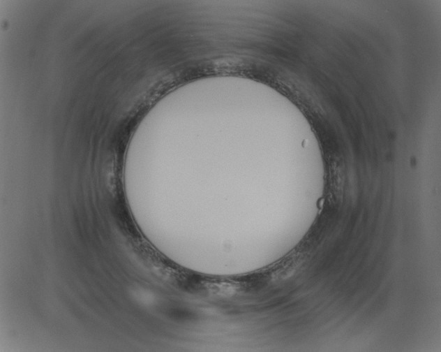 X0000081290698200702012244