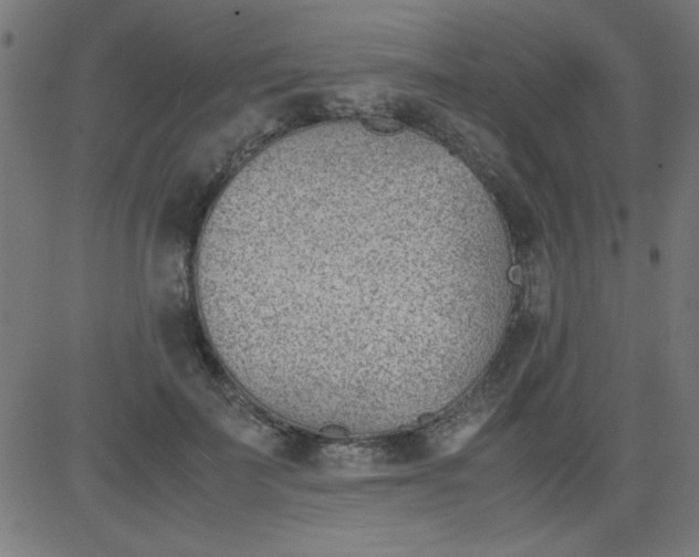 X0000081290699200702012244