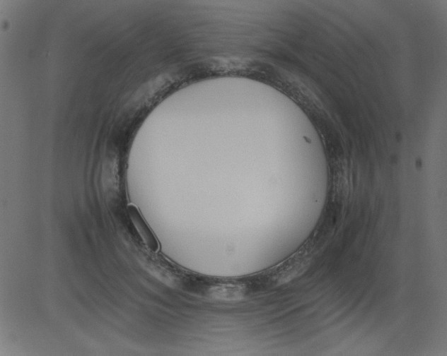 X0000081290700200702012244