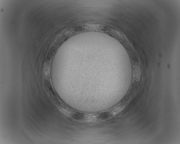 X0000081290701200702012244