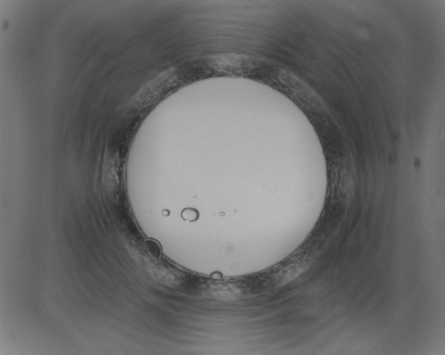 X0000081290702200702012244