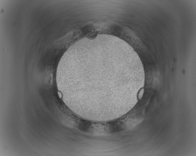 X0000081290703200702012244