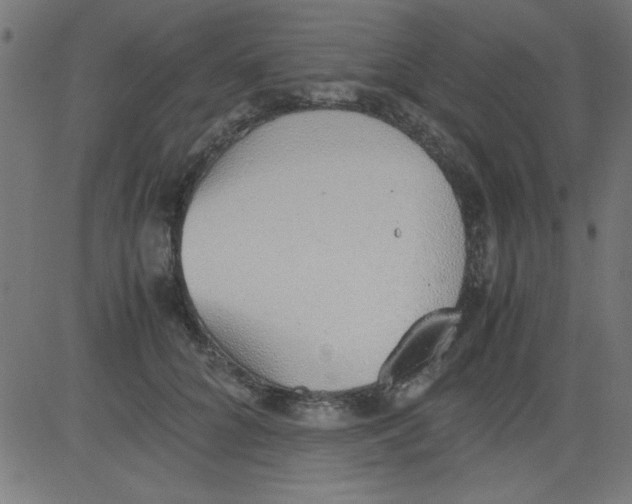 X0000081290704200702012244