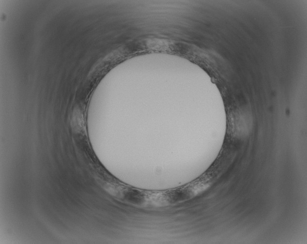 X0000081290705200702012244