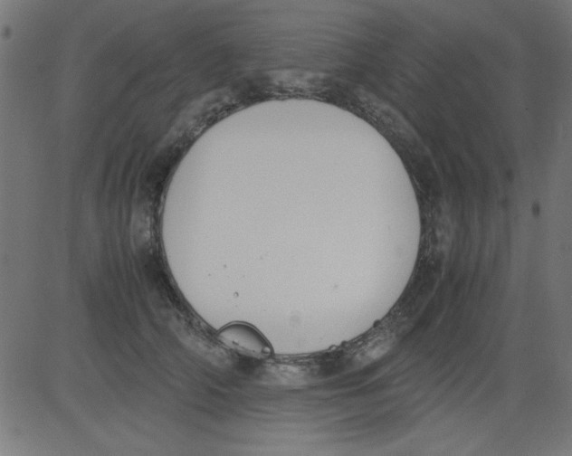 X0000081290706200702012244