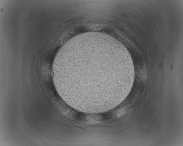 X0000081290707200702012244