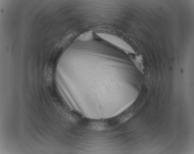 X0000081290708200702012244