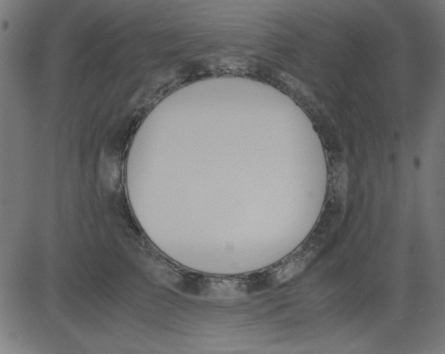 X0000081290709200702012244