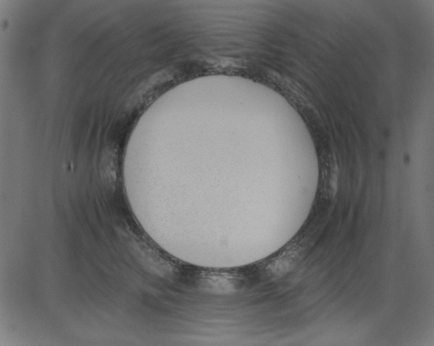 X0000081290710200702012244