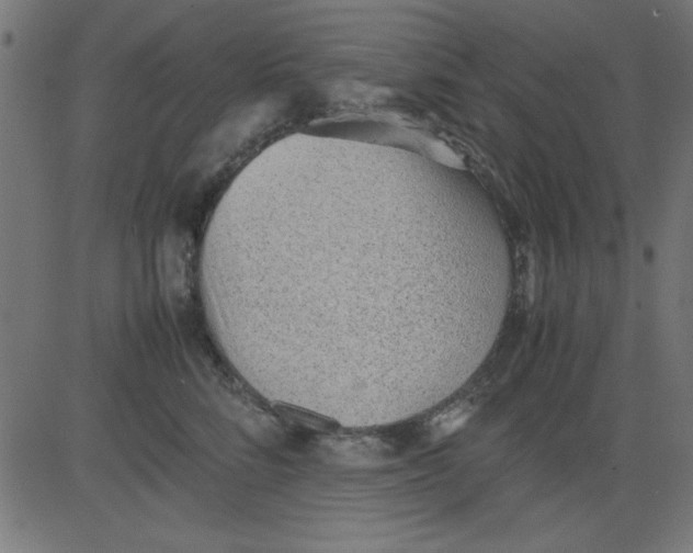 X0000081290712200702012244