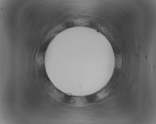 X0000081290713200702012244