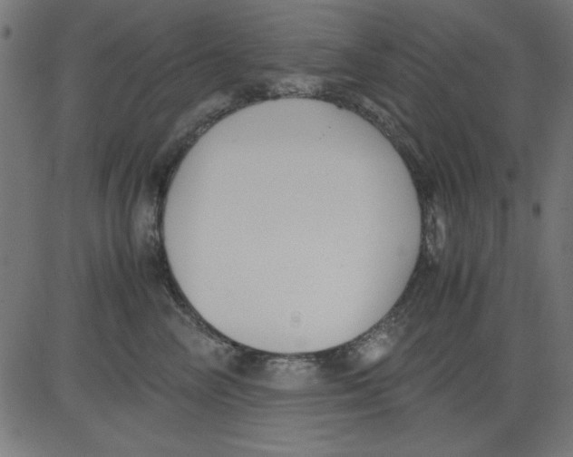 X0000081290714200702012244