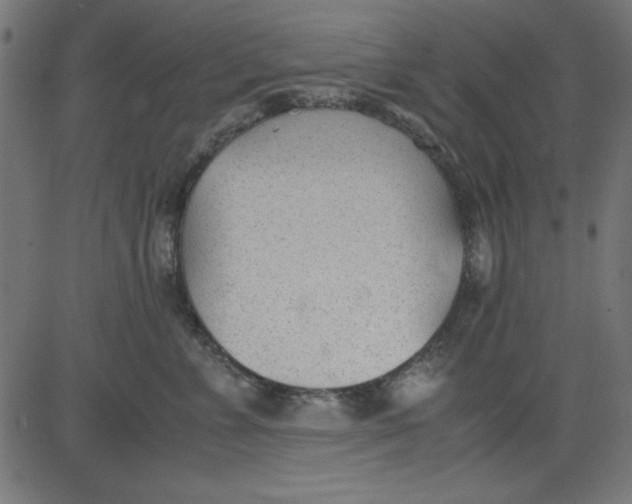 X0000081290715200702012244