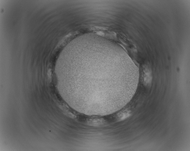 X0000081290716200702012244