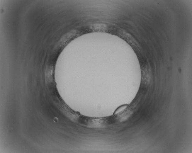 X0000081290717200702012244