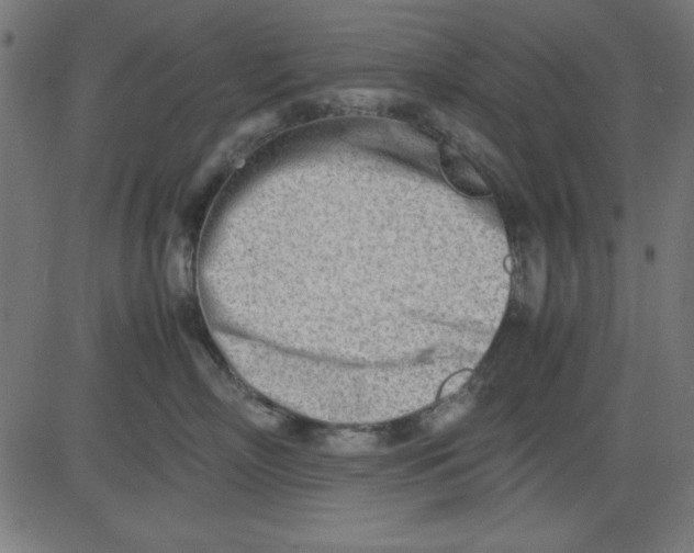 X0000081290718200702012244