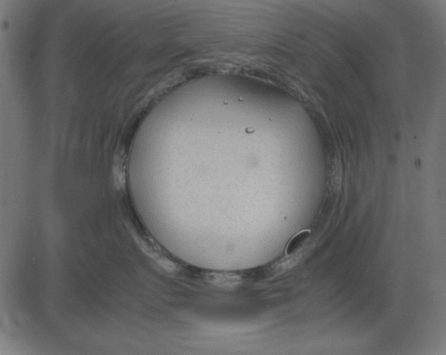 X0000081290719200702012244