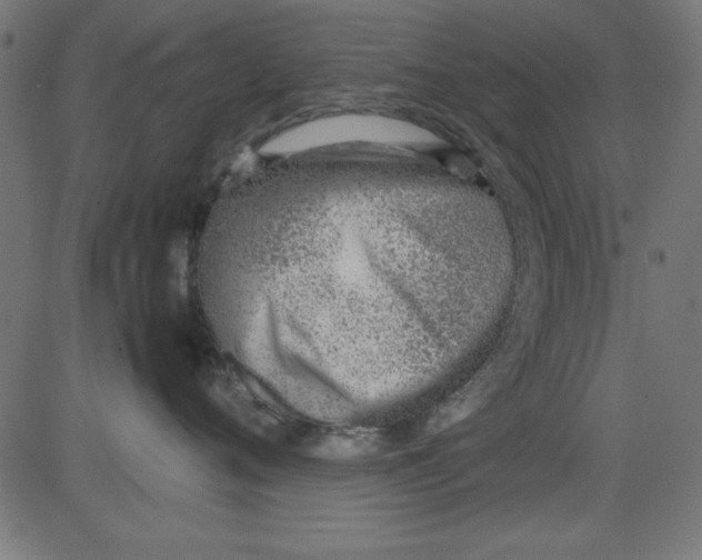 X0000081290720200702012244