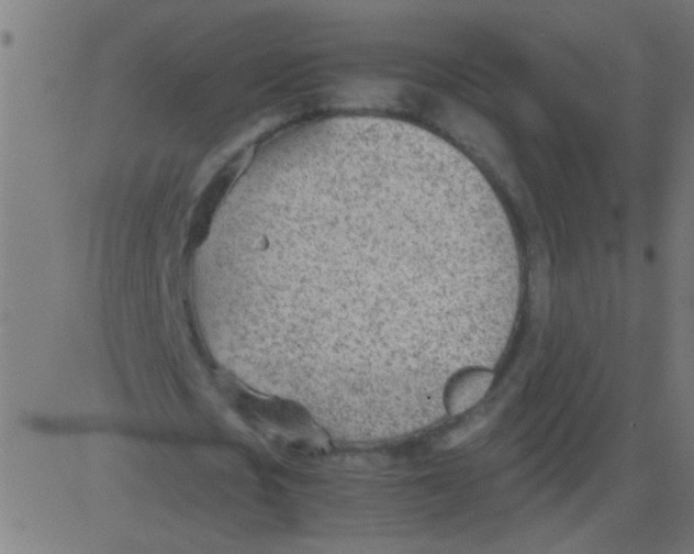 X0000081290721200702012243