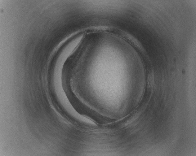 X0000081290722200702012243