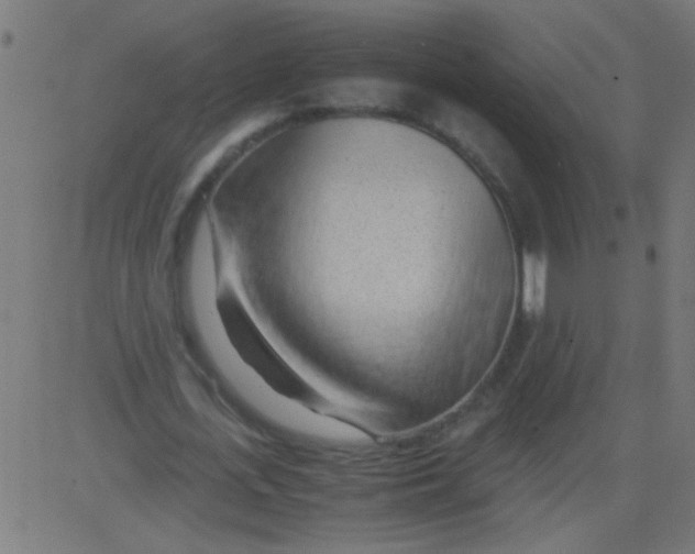 X0000081290723200702012243