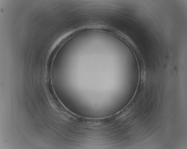 X0000081290724200702012243