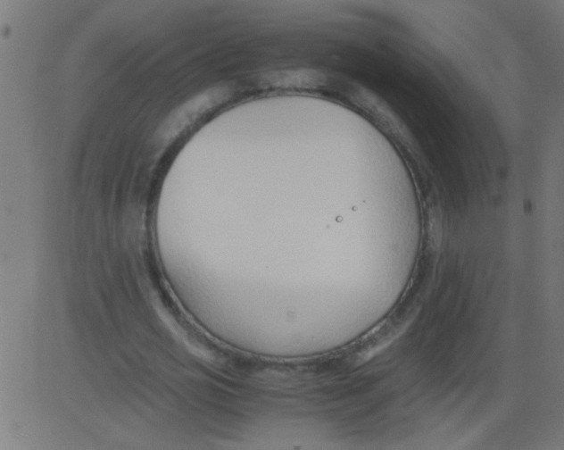 X0000081290725200702012243