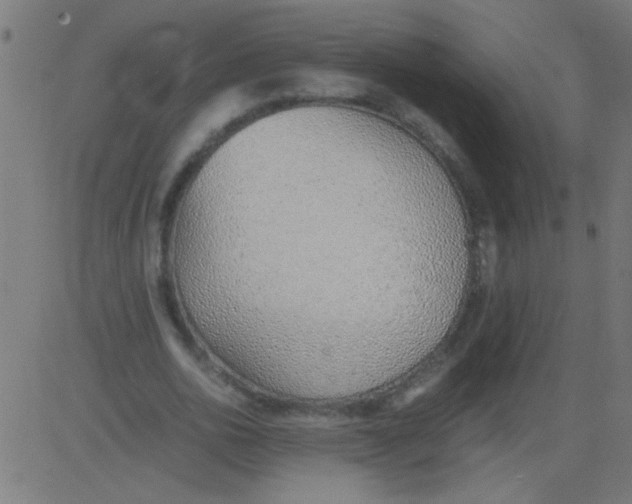 X0000081290726200702012243