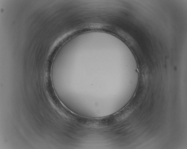 X0000081290728200702012243