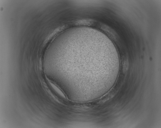 X0000081290729200702012243