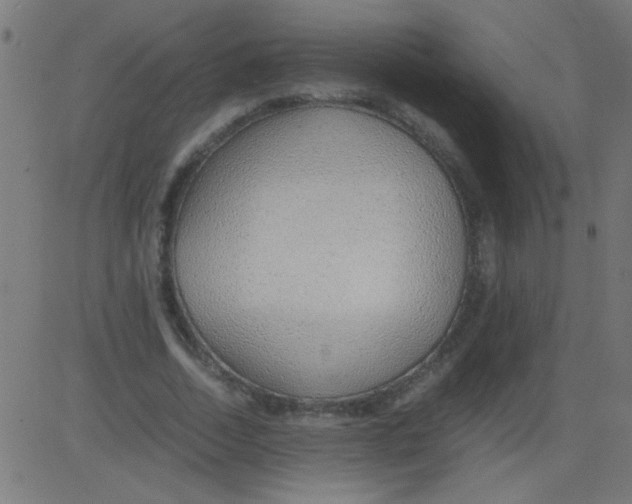 X0000081290730200702012243