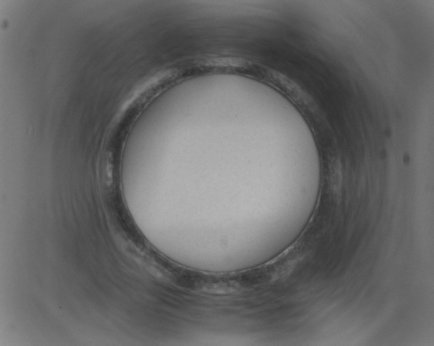 X0000081290731200702012243