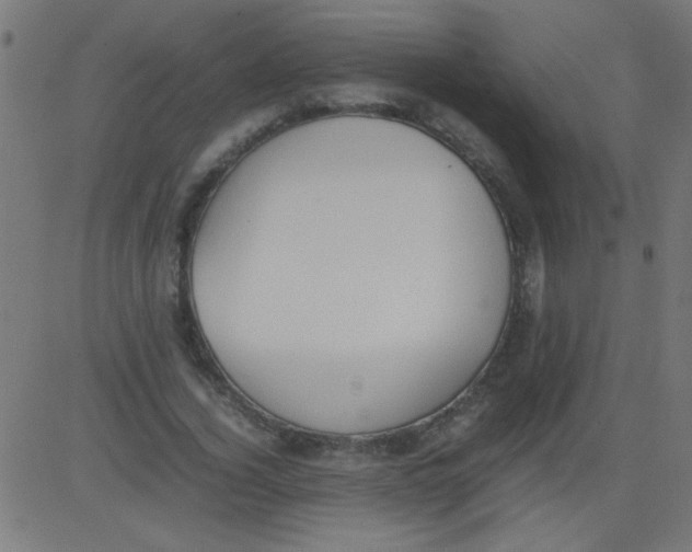 X0000081290732200702012243