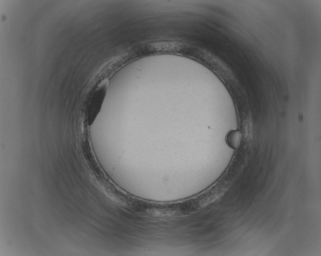 X0000081290733200702012243