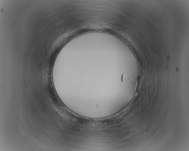 X0000081290736200702012243