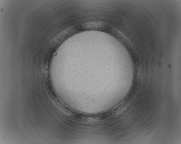 X0000081290737200702012243