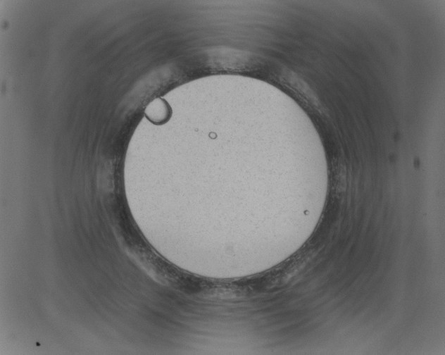 X0000081290738200702012244