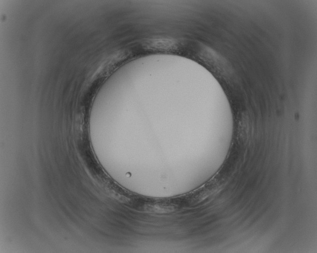 X0000081290739200702012244