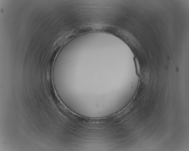 X0000081290740200702012244